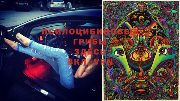 мескалин Арсеньев