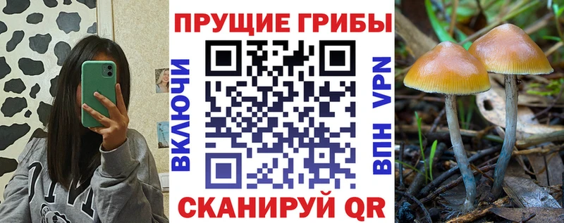 Псилоцибиновые грибы прущие грибы  Железноводск 