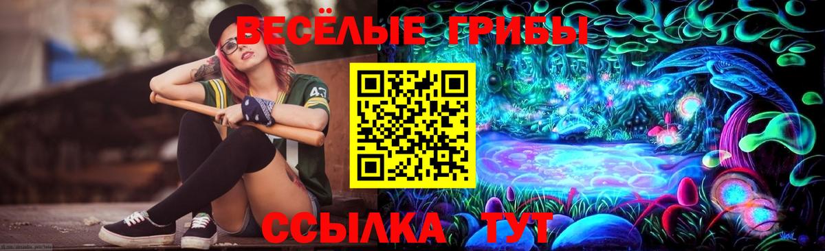 Железноводск  Галлюциногенные грибы MAGIC MUSHROOMS  Галлюциногенные грибы ЛСД  Вход с VPN 